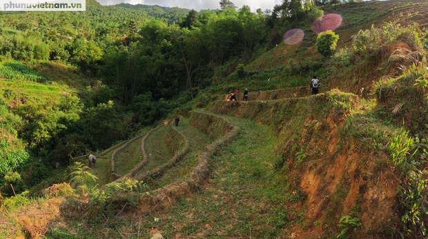 Những thửa ruộng bậc thang hớp hồn du khách trơ trụi vì nắng hạn - Ảnh 2.