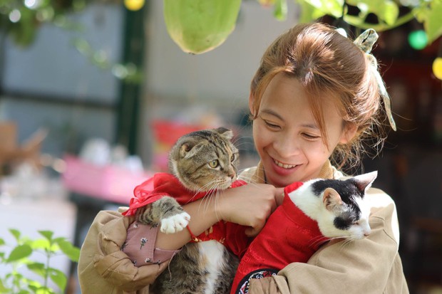 Căn chung cư không đủ chỗ cho đàn mèo, cô gái dồn tiền tiết kiệm, bỏ phố lên rừng làm nông dân - Ảnh 2.
