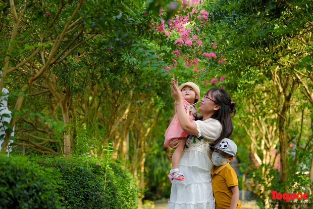 Người dân Thủ đô thích thú với vườn cổ tích tường vi ở Hà Nội - Ảnh 8.