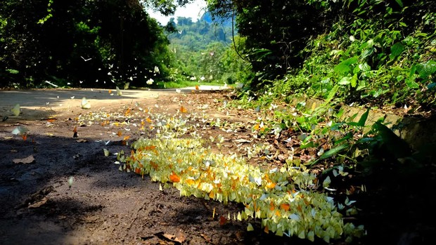 Cập nhật mới nhất giá vé các điểm du lịch ở Ninh Bình - Ảnh 8.