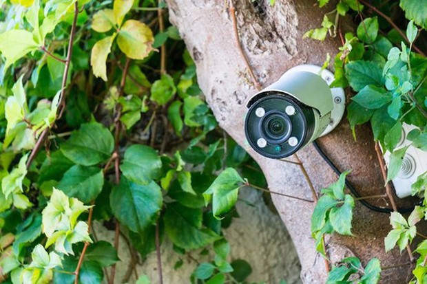 Lắp camera có thể giúp bảo đảm an ninh, nhưng vẫn có những vị trí nên tránh? - Ảnh 3. Lắp camera có thể giúp bảo đảm an ninh, nhưng vẫn có những vị trí nên tránh? - Ảnh 3.