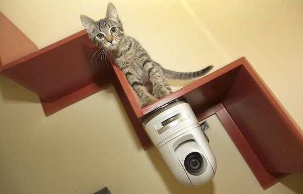 Lắp camera có thể giúp bảo đảm an ninh, nhưng vẫn có những vị trí nên tránh? - Ảnh 2. Lắp camera có thể giúp bảo đảm an ninh, nhưng vẫn có những vị trí nên tránh? - Ảnh 2.