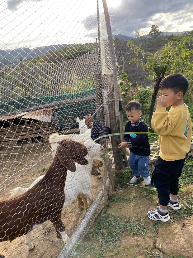 Rời Sài Gòn, đôi vợ chồng cầm 300 triệu lên sườn đồi dựng căn nhà gỗ, thành quả đáng nể - Ảnh 12.