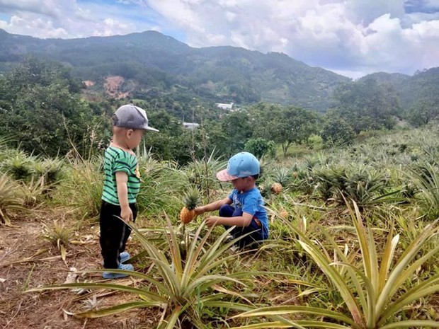 Rời Sài Gòn, đôi vợ chồng cầm 300 triệu lên sườn đồi dựng căn nhà gỗ, thành quả đáng nể - Ảnh 11.