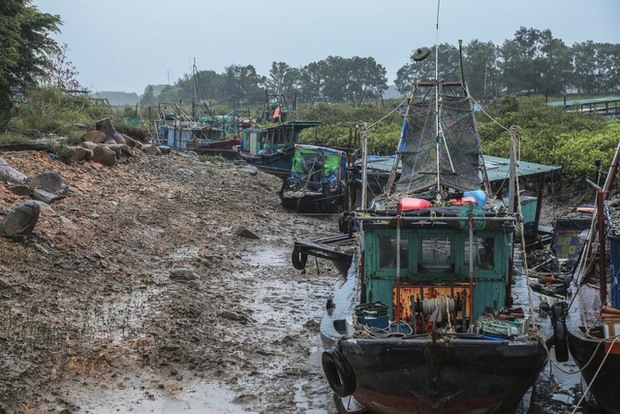 Bão số 1 tiến vào đất liền: Người dân Quảng Ninh gia cố nhà cửa, neo đậu tàu thuyền - Ảnh 6.