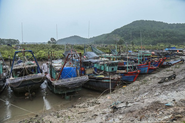 Bão số 1 tiến vào đất liền: Người dân Quảng Ninh gia cố nhà cửa, neo đậu tàu thuyền - Ảnh 14.