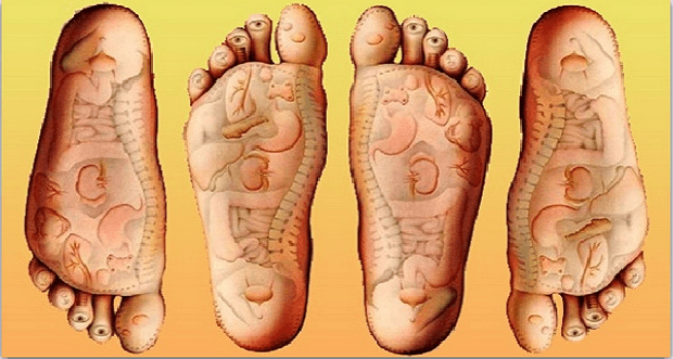 Có 1 bí quyết sống thọ đơn giản, người Trung Quốc âm thầm áp dụng suốt 800 năm: Rất phù hợp với nhóm người này - Ảnh 1. Có 1 bí quyết sống thọ đơn giản, người Trung Quốc âm thầm áp dụng suốt 800 năm: Rất phù hợp với nhóm người này - Ảnh 1.