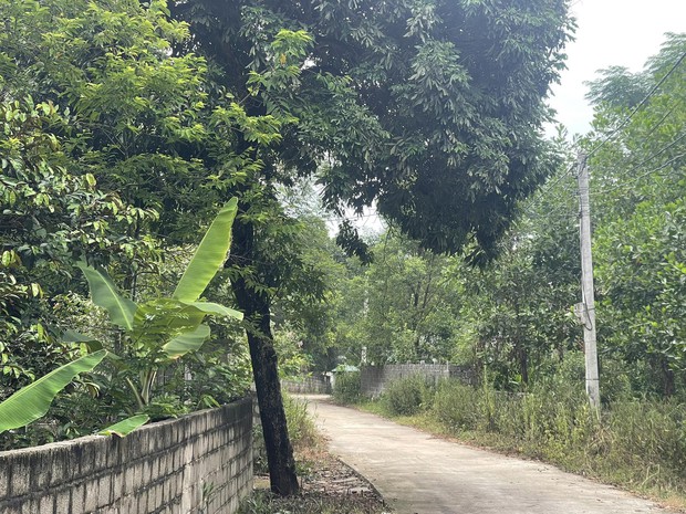 Vụ nam tài xế xe ôm công nghệ tại Hà Nội bị sát hại dã man: Nghẹn ngào cuộc gọi cuối cùng của nạn nhân với bố mẹ - Ảnh 2.
