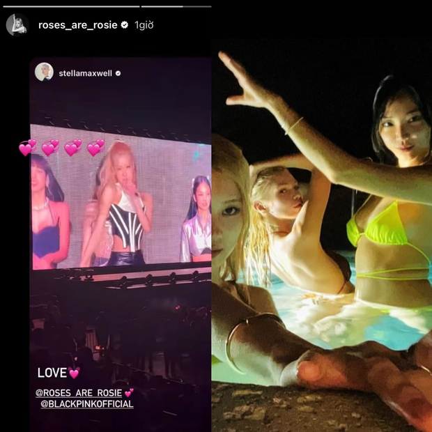 Dàn sao thế giới đu đưa concert BLACKPINK: Selena Gomez và siêu anh hùng Marvel quá hot nhưng Jung Hae In là trùm cuối - Ảnh 16.