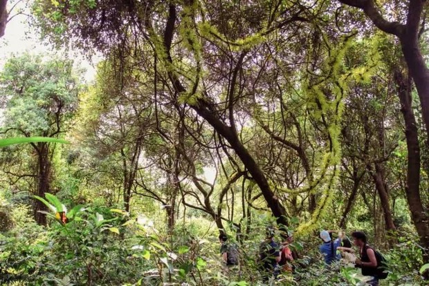 Phát hiện bãi biển đẹp nhất Cô Tô, Quảng Ninh, du khách nhận xét: Đã đến đây rồi thì sẽ không muốn về - Ảnh 8.