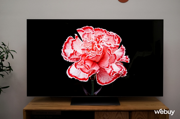 Ngắm siêu phẩm TV LG OLED G3 mới: Rẻ hơn nhưng sáng hơn nhờ công nghệ mới, thiết kế mỏng nhưng bền - Ảnh 14. Ngắm siêu phẩm TV LG OLED G3 mới: Rẻ hơn nhưng sáng hơn nhờ công nghệ mới, thiết kế mỏng nhưng bền - Ảnh 14.