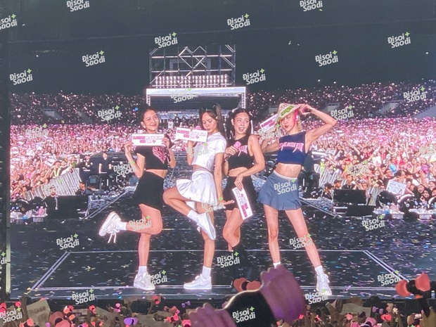 Mê cái cách mà fan Việt đu BLACKPINK quá! - Ảnh 1. Mê cái cách mà fan Việt đu BLACKPINK quá! - Ảnh 1.