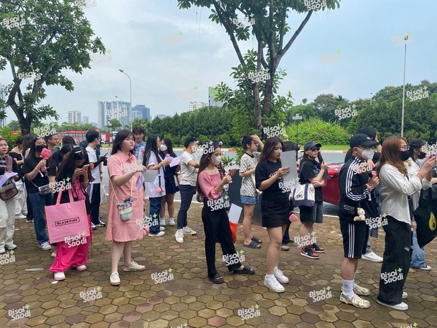 Mê cái cách mà fan Việt đu BLACKPINK quá! - Ảnh 10. Mê cái cách mà fan Việt đu BLACKPINK quá! - Ảnh 10.