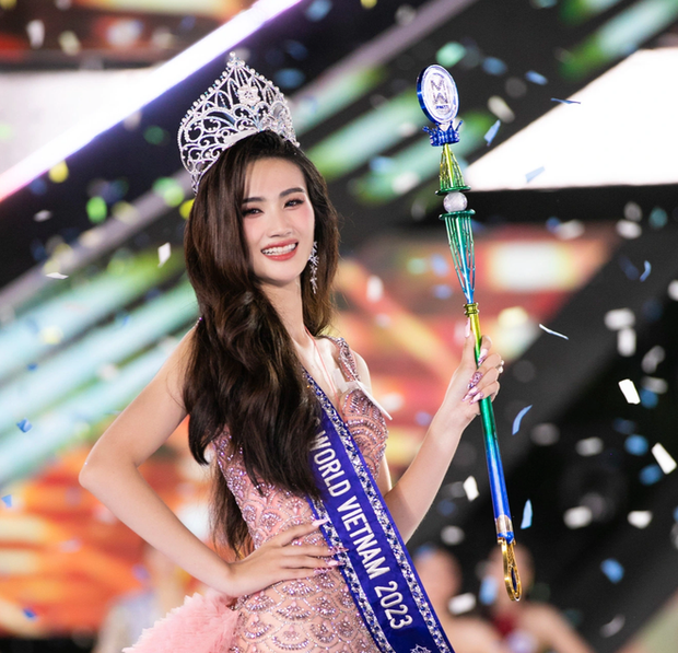 Hoa hậu Ý Nhi tiếp tục hứng chỉ trích sau phát ngôn kể tên những người nổi tiếng quê Bình Định - Ảnh 3.