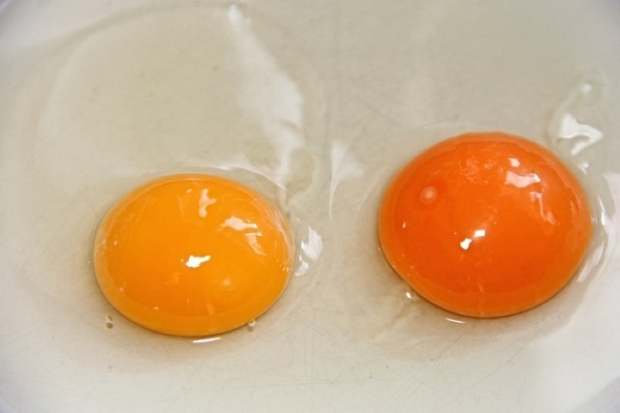 Chuyên gia tiết lộ chỉ cần nhìn vào 1 điểm là biết mức độ dinh dưỡng của từng quả trứng - Ảnh 2.