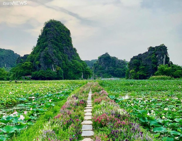 Ngắm mùa Thu lãng mạn tại thiên đường sống ảo Hang Múa - Ảnh 8.