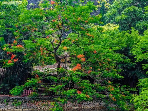 Ngắm mùa Thu lãng mạn tại thiên đường sống ảo Hang Múa - Ảnh 6.