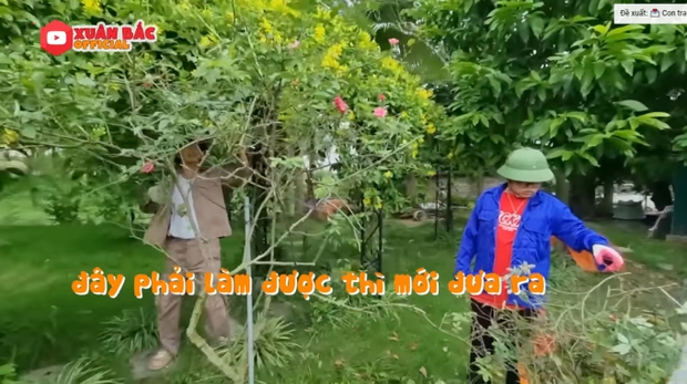 Bên trong biệt phủ tiền tỷ của Xuân Bắc: Không gian sống an yên, chiếm spotlight là sân vườn quanh năm hoa trái mọc sai trĩu - Ảnh 11.