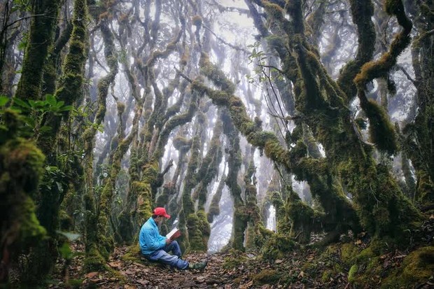Phát hiện cánh rừng nguyên sinh kỳ bí như trong phim Hollywood ở ngay vùng núi phía Bắc Việt Nam, du khách nhận xét cảnh đẹp như chốn thần tiên - Ảnh 5.