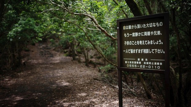 “Cánh rừng tự sát” của Nhật Bản hiện tại thế nào sau nhiều năm gây ám ảnh? - Ảnh 2.