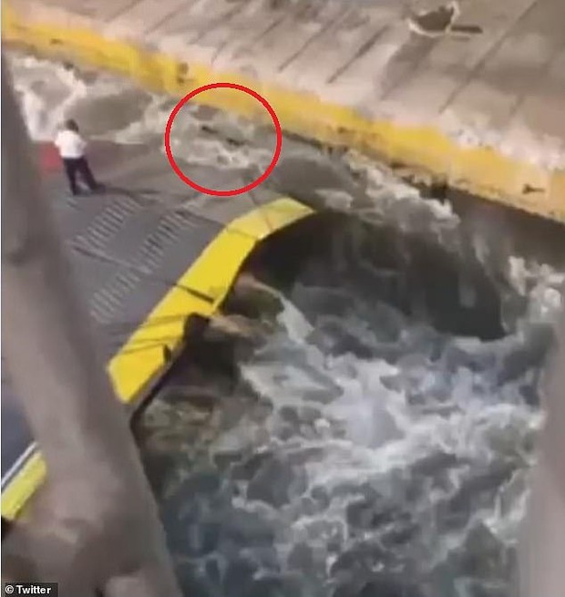 Hành khách đi tàu chết tức tưởi vì bị đẩy xuống biển, video diễn biến sự việc gây phẫn nộ - Ảnh 3. Hành khách đi tàu chết tức tưởi vì bị đẩy xuống biển, video diễn biến sự việc gây phẫn nộ - Ảnh 3.