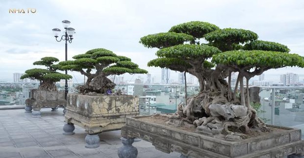 Biệt thự trên không 3000m2 với dàn cây bonsai triệu đô ngay giữa lòng Hà Nội, ngỡ ngàng 1 điều đặc biệt trên tầng thượng - Ảnh 14.