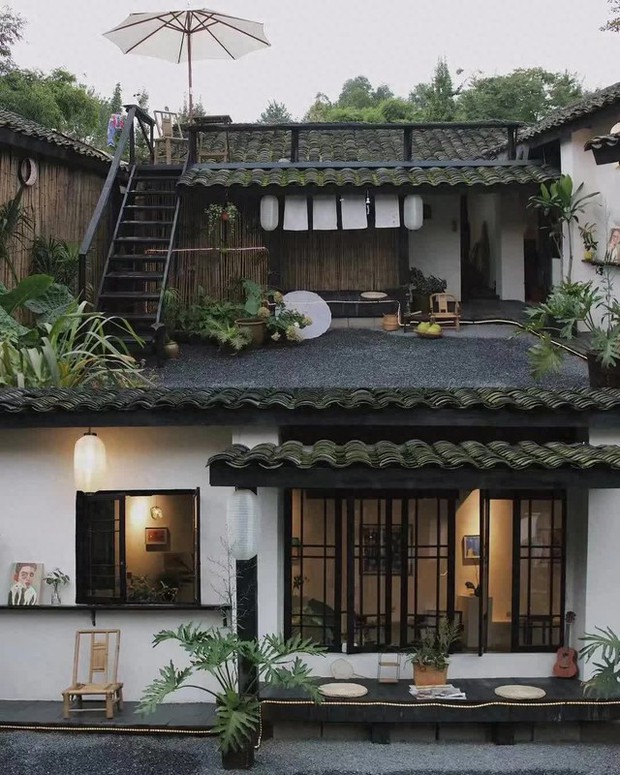 Áp lực cuộc sống phố thị, 9X dành 60 ngày cải tạo nhà cũ 500m2 thành không gian vừa kiếm ra tiền, vừa chill - Ảnh 5.