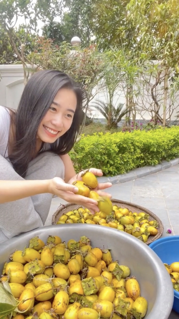 Hái hồng giòn trong vườn nhà mẹ chồng ở Ba Vì, hội mê hồng treo gió thấy mà xuýt xoa - Ảnh 5. Hái hồng giòn trong vườn nhà mẹ chồng ở Ba Vì, hội mê hồng treo gió thấy mà xuýt xoa - Ảnh 5.