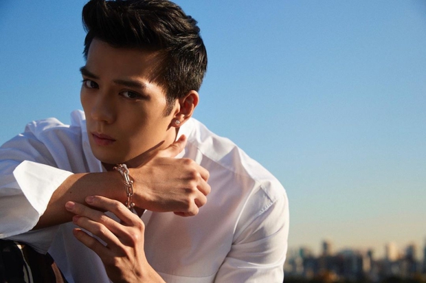 Màn lột xác ngoạn mục của Zoro Mackenyu: Quốc bảo nhan sắc Nhật Bản thành cơn sốt toàn cầu nhờ cơ bắp như tạc - Ảnh 22.