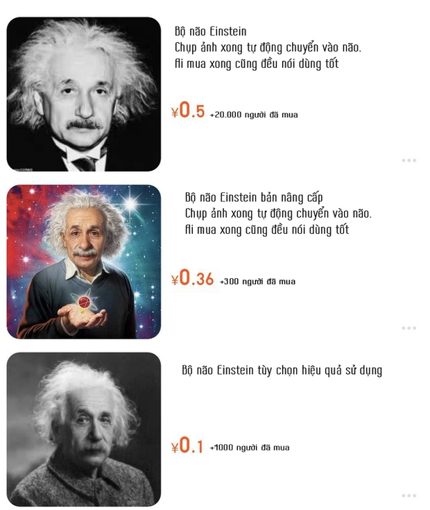 Bộ não Einstein là gì mà nhiều người đổ xô mua giá rẻ bèo, có nơi bán đến hơn 20.000 bản? - Ảnh 1.