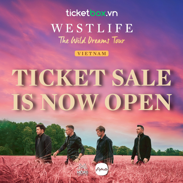 Vé concert Westlife tại Việt Nam gây sốt: Sold-out nhanh chóng dù gặp sự cố lỗi trang web