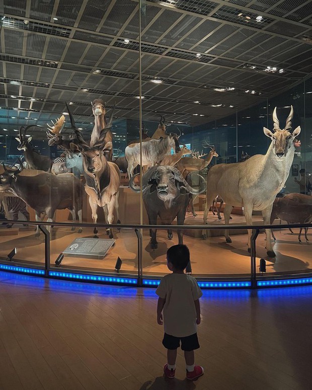 Bí quyết về ngoại hình dễ thương của con trai út 1 tuổi mà Tăng Thanh Hà tiết lộ