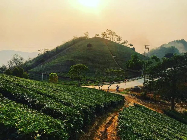 Ngẩn ngơ ngắm nét đẹp tựa cõi mơ ở Suối Giàng, Yên Bái với chi phí chỉ khoảng 2,5 triệu đồng - Ảnh 5.