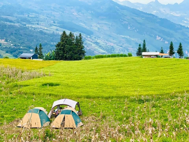 Các gia đình săn tìm thảo nguyên hồng, ngỡ nơi xa nhưng nằm trên cung đường khám phá vùng địa đầu Tổ quốc - Ảnh 5.