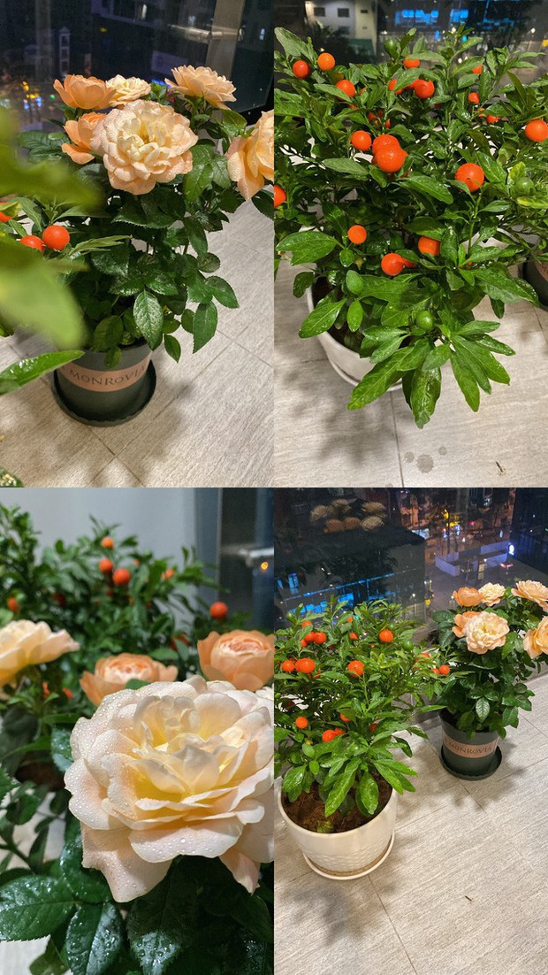 Cô gái độc thân mua nhà 3 tỷ, trả đứt ngân hàng sau 1 năm: Không dựa dẫm tài chính mới nên mua BĐS - Ảnh 4.