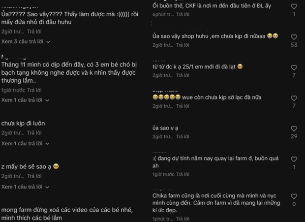 Chika Farm Đà Lạt bất ngờ thông báo đóng cửa dù đang đông khách, khiến dân tình vô cùng hoang mang - Ảnh 4.
