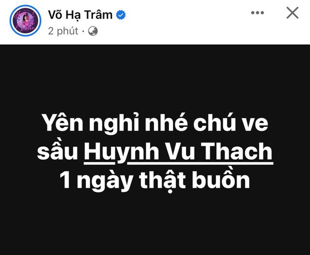Huỳnh Vũ Thạch nhóm Ve sầu qua đời sau khi bị đột quỵ - Ảnh 4.