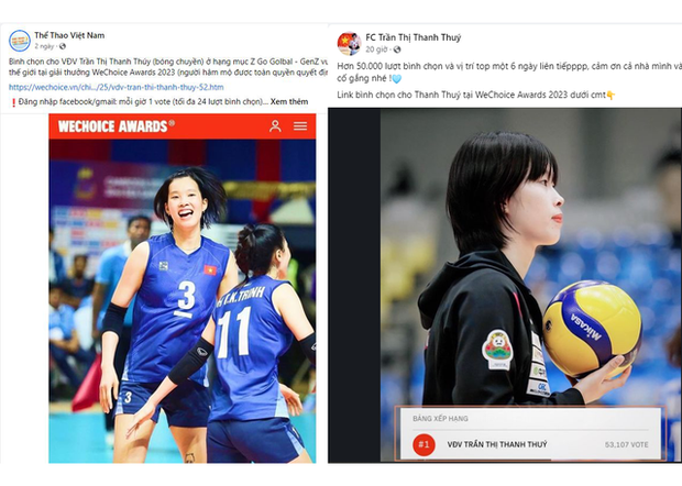 Trần Thị Thanh Thúy có lượt vote gấp đôi tlinh, DaHan Phương Oanh ở WeChoice Awards, fan hùng hậu cỡ nào? - Ảnh 3.
