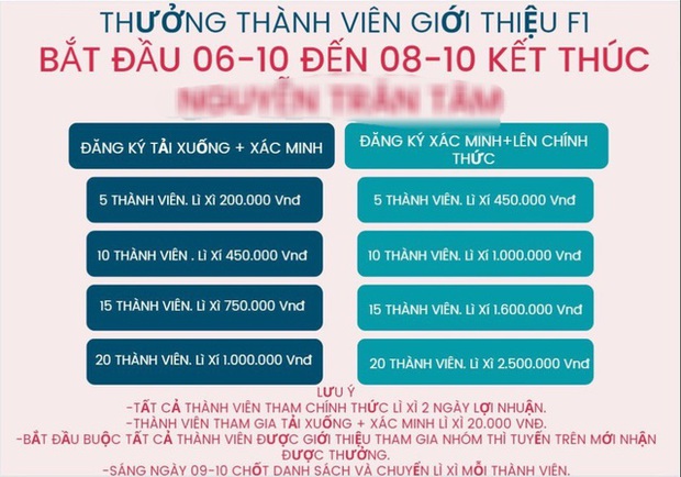 Cả ngàn người sập bẫy app đa cấp VN-Temu - Ảnh 2.