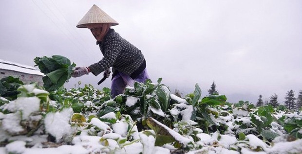 Không khí lạnh mạnh tràn về, khả năng xuất hiện mưa tuyết và băng giá - Ảnh 1.