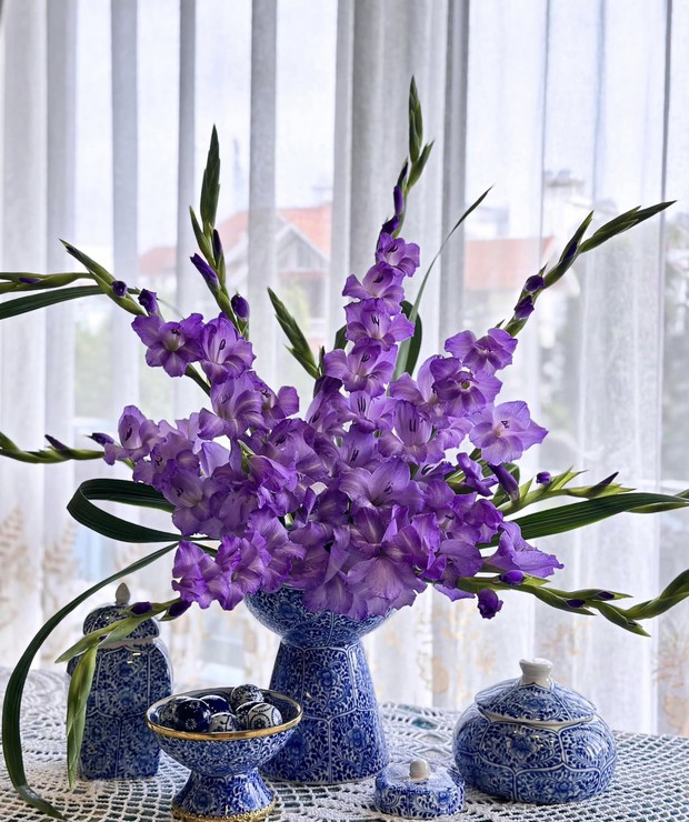 Loài hoa tượng trưng cho may mắn, Tết này cắm một bình trong nhà, hi vọng cả năm vượng tài, vui vẻ, giá lại rẻ - Ảnh 18.