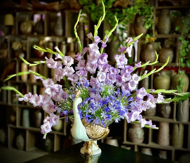 Loài hoa tượng trưng cho may mắn, Tết này cắm một bình trong nhà, hi vọng cả năm vượng tài, vui vẻ, giá lại rẻ - Ảnh 20.