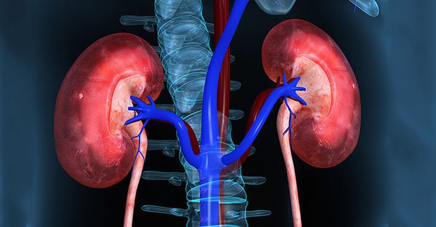 TikToker nổi tiếng bị suy thận độ 3 vì thói quen gây hại sức khỏe