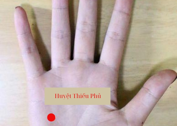 Trên cơ thể có 4 “điểm trường thọ”, xoa bóp thường xuyên giúp ngừa ung thư mà không tốn 1 xu - Ảnh 3. Trên cơ thể có 4 “điểm trường thọ”, xoa bóp thường xuyên giúp ngừa ung thư mà không tốn 1 xu - Ảnh 3.
