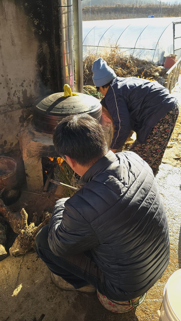 Được mai mối cho ông nông dân Hàn, cô gái Việt không ngờ chồng là “địa chủ”, 15 năm sau thành bà trùm nông sản - Ảnh 22.