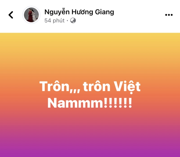 Hương Giang sau khi đăng ảnh nắm chặt tay trai lạ ngày Valentine: Troll Việt Nam - Ảnh 3.