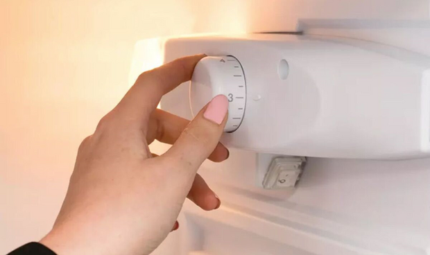 Tiết kiệm điện bằng cách chỉnh một nút nhỏ trên tủ lạnh - Ảnh 1.