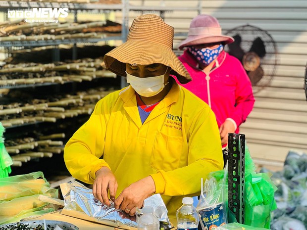 Cả tiệm xuyên đêm không ngủ, phục vụ khách mua vịt, heo quay ngày vía Thần Tài - Ảnh 13.