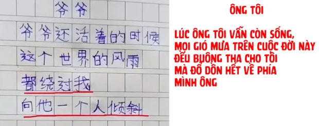 Bài văn Ông tôi của cậu bé lớp 2 giành giải thưởng, chỉ vỏn vẹn 26 chữ nhưng khiến ai cũng rơi lệ - Ảnh 1.