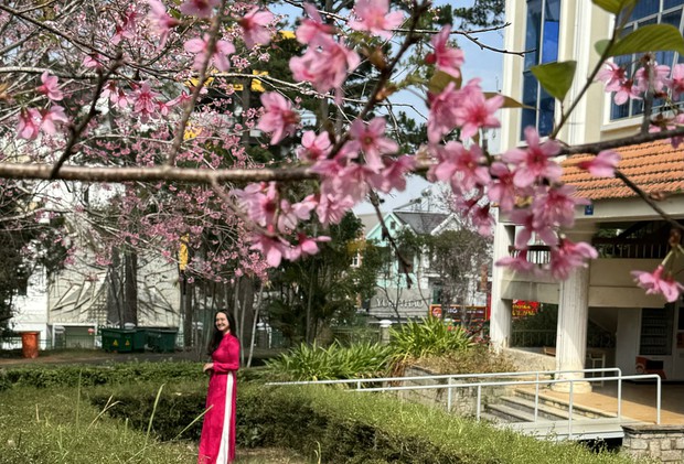 Loài hoa nhuộm hồng ngôi trường có cảnh quan đẹp bậc nhất Đông Nam Á - Ảnh 1.